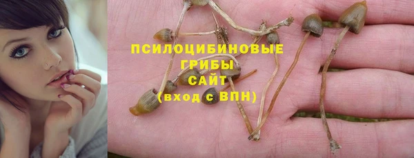 тгк Алзамай