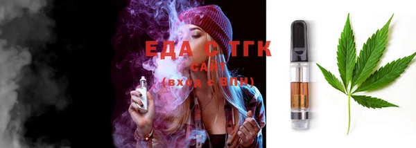 тгк Алзамай
