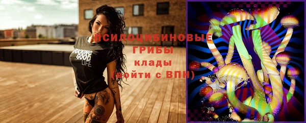 первитин Алексин