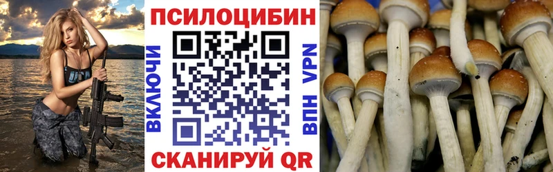 hydra tor  Пласт  Псилоцибиновые грибы мухоморы 